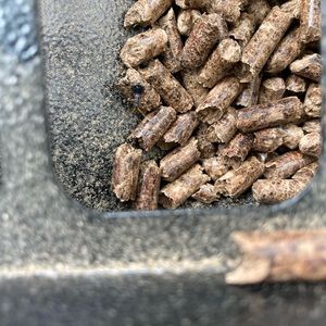 Meet your Posher, William